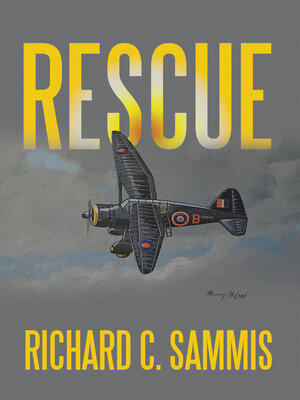 cover image of Rescue